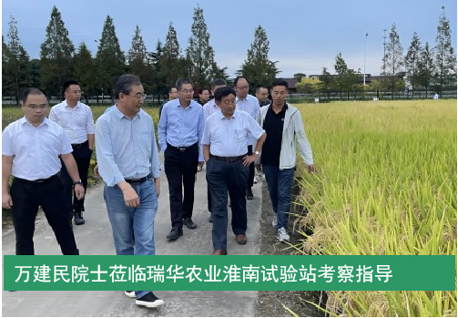 萬建民(mín)院士莅臨瑞華農業淮南試驗站考察指導